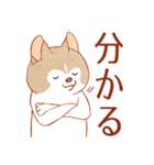 まいにちハスキー（個別スタンプ：22）