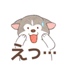 まいにちハスキー（個別スタンプ：23）