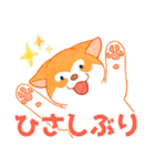 まいにちハスキー（個別スタンプ：26）