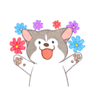 まいにちハスキー（個別スタンプ：34）