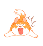 まいにちハスキー（個別スタンプ：36）