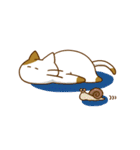 まるっとにゃんこの生態（個別スタンプ：3）