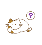 まるっとにゃんこの生態（個別スタンプ：11）