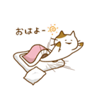 まるっとにゃんこの生態（個別スタンプ：14）