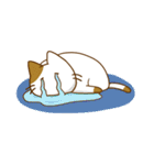 まるっとにゃんこの生態（個別スタンプ：17）