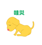 ハート鼻の子犬（個別スタンプ：21）