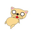 happy minidog（個別スタンプ：20）