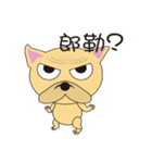 happy minidog（個別スタンプ：24）