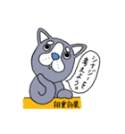 意識高い犬であそぼ！（個別スタンプ：23）