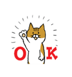 もっちり猫たまちゃん（個別スタンプ：1）