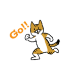 もっちり猫たまちゃん（個別スタンプ：3）