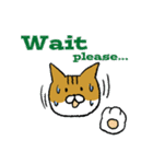もっちり猫たまちゃん（個別スタンプ：4）
