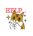 もっちり猫たまちゃん（個別スタンプ：5）