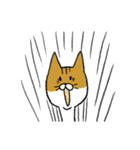 もっちり猫たまちゃん（個別スタンプ：7）