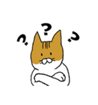 もっちり猫たまちゃん（個別スタンプ：9）