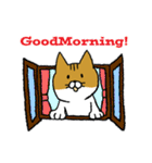 もっちり猫たまちゃん（個別スタンプ：11）