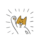 もっちり猫たまちゃん（個別スタンプ：13）