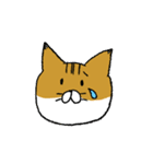 もっちり猫たまちゃん（個別スタンプ：15）