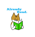 もっちり猫たまちゃん（個別スタンプ：16）