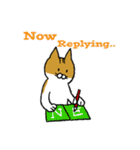 もっちり猫たまちゃん（個別スタンプ：17）