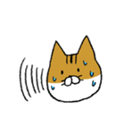 もっちり猫たまちゃん（個別スタンプ：19）