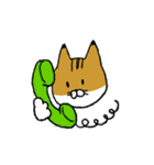 もっちり猫たまちゃん（個別スタンプ：21）