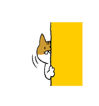 もっちり猫たまちゃん（個別スタンプ：22）