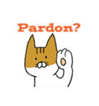 もっちり猫たまちゃん（個別スタンプ：24）