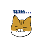 もっちり猫たまちゃん（個別スタンプ：25）