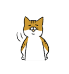 もっちり猫たまちゃん（個別スタンプ：31）