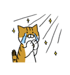 もっちり猫たまちゃん（個別スタンプ：34）