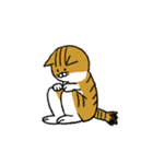 もっちり猫たまちゃん（個別スタンプ：37）