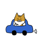 もっちり猫たまちゃん（個別スタンプ：40）