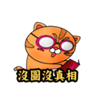 George the cat a good time（個別スタンプ：10）