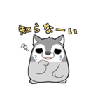 ぺそねこ（個別スタンプ：4）