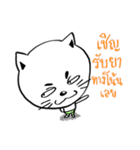 Cat in Pants（個別スタンプ：36）