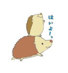 ハリネズミのぷれちゃん（個別スタンプ：12）