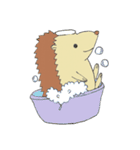 ハリネズミのぷれちゃん（個別スタンプ：15）