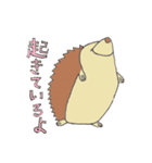 ハリネズミのぷれちゃん（個別スタンプ：18）