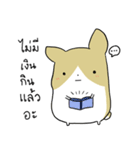 exercisebear: boingcorgi（個別スタンプ：7）