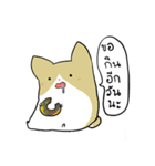 exercisebear: boingcorgi（個別スタンプ：9）