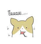 exercisebear: boingcorgi（個別スタンプ：12）