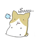 exercisebear: boingcorgi（個別スタンプ：17）