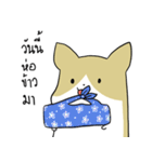 exercisebear: boingcorgi（個別スタンプ：22）