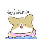 exercisebear: boingcorgi（個別スタンプ：25）