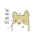 exercisebear: boingcorgi（個別スタンプ：35）