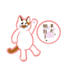 三毛猫姉妹 あんずとぽんず（個別スタンプ：13）