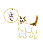 三毛猫姉妹 あんずとぽんず（個別スタンプ：20）