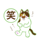 三毛猫姉妹 あんずとぽんず（個別スタンプ：24）