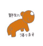 ゆるゆる薬局スタンプ（個別スタンプ：24）